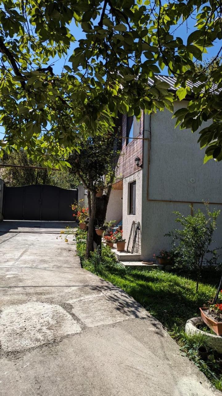 Taripiri Villa Ambrolauri Bagian luar foto