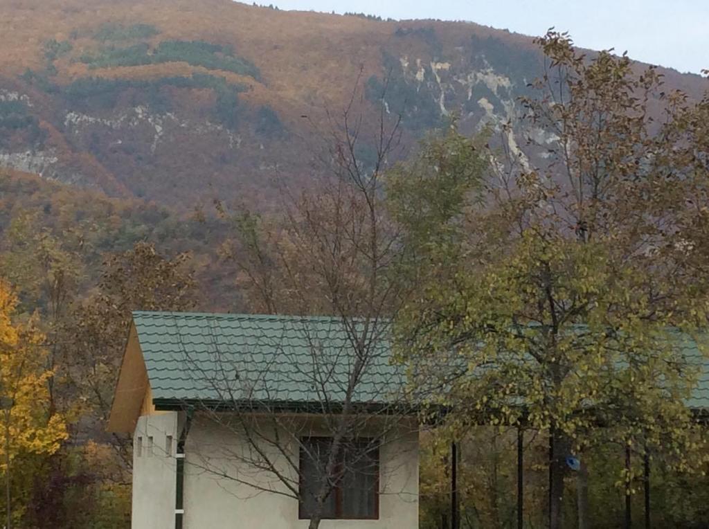 Taripiri Villa Ambrolauri Bagian luar foto