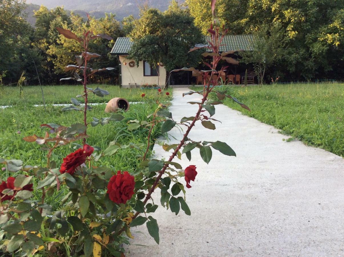 Taripiri Villa Ambrolauri Bagian luar foto