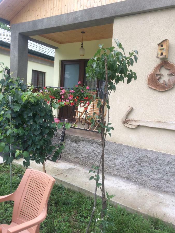 Taripiri Villa Ambrolauri Bagian luar foto